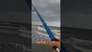 大家注意看 這男人太狠了釣魚山狗大shorts午仔魚遠投沉底 fishing [upl. by Aenej]