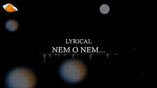 O Nem O Nem with lyrics  Neminath Bhagwan song [upl. by Courtland915]