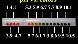 How to make universal indicator [upl. by Kristofor]