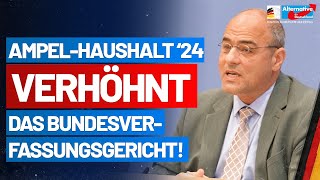 AmpelHaushalt 2024 verhöhnt das Bundesverfassungsgericht  Peter Boehringer  AfDFraktion [upl. by Eissert]