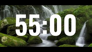 55 minute timer  Forest Background🌲🌲 [upl. by Alyekahs]