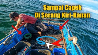 Akibat Mancing terlalu dekat Spot  Mancing ikan di laut [upl. by Spoor]