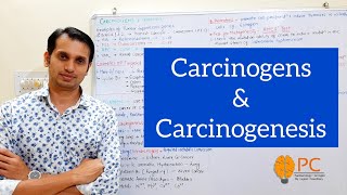 Cancer Part 3 Carcinogens and Carcinogenesis  Tumour Supressor Gene and Oncogenes [upl. by Four]