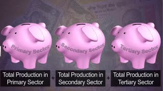 CBSE Class 10 Economics  2  Sectors of Indian Economy  Full Chapter  By Shiksha House [upl. by Reteid]