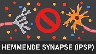 Hemmende Synapsen  Ablauf an inhibitorische Synapsen  IPSP [upl. by Yrelbmik]