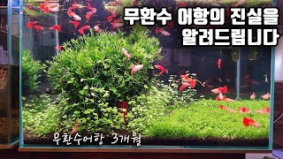 오랜시간 논란이 되었던 무환수 어항에 대해 솔직하게 말씀드립니다 [upl. by Schwab50]