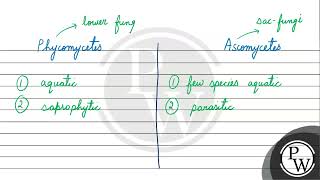 Write any three differences between phycomycetes and ascomycetes \ [upl. by Ana392]