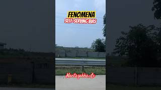 Fenomena Selfserving bias  Penyakit Mental  Renungan shortsfeed viralvideo trending [upl. by Hunger521]