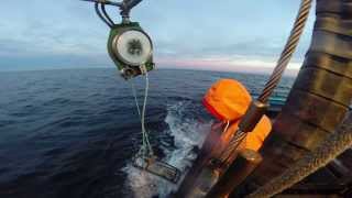 Commercial Dungeness crab fishing [upl. by Renee480]