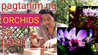 pagtatanim ng orchids sa paso  planting orchids in pots [upl. by Aluor]