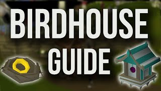 OSRS Birdhouse Guide  Example Run  COMPLETE QUICK GUIDE 2018 [upl. by Llevaj]