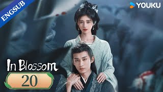 In Blossom EP20  Thriller Romance Drama  Ju JingyiLiu Xueyi  YOUKU [upl. by Dranik68]