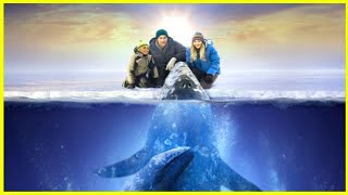 Three gray whales trapped under ice minus 70 degrees Celsius movie recap movierecapsofficial [upl. by Perle809]