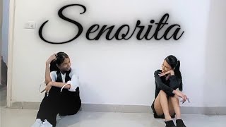 Senorita dance cover❤choreographed by meshawnmendes camilacabello [upl. by Hnacogn]