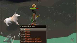 Runescape Solo Mage Dagannoth Rex guide With Commentary [upl. by Seadon]