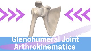 Shoulder Kinesiology Glenohumeral Joint Movement [upl. by Geirk]