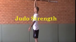 Effective strength Training for judo  Essential Core exercises by Matt D’Aquino [upl. by Farly268]