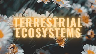 003 Ecosystem Types  Terrestrial Ecosystems [upl. by Simona963]