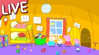 Peppa Pig Italiano LIVE 2023 🔴 Episodi Completi  NUOVO  Cartoni Animati [upl. by Hsur943]