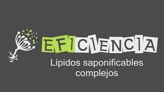 LÍPIDOS SAPONIFICABLES COMPLEJOS FOSFOLÍPIDOS Y ESFINGOLÍPIDOS Lípidos de membrana Anfipáticos [upl. by Alyse]