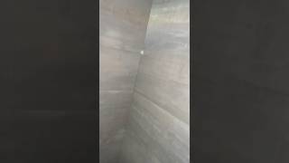 Wall tail design and bathroom me wall tail trending tails sort youtubeshorts [upl. by Nylarahs]