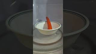 Did You Know Cooking a carrot [upl. by Ethelred811]