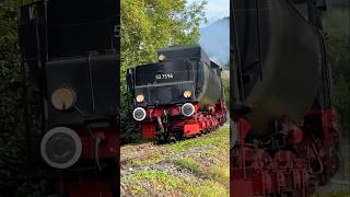 🚂 BR 52 7596 Tender voraus in Hemishofen Die Lok fährt auf die 254 Meter lange Rheinbrücke zu 🌉 [upl. by Woll544]