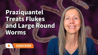 Praziquantel Treats Flukes Tapeworms amp Large Roundworms  Pam Bartha [upl. by Novyart]