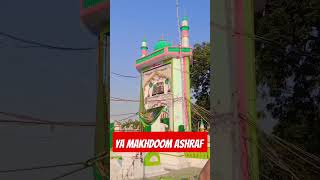 Ya makhdoom Ashraf kardo karam newqawwalimakhdoomashraf2023 viralvideo love mahkdoomforyou [upl. by Pappano]