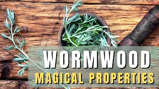 Wormwood loose herb  magical properties of wormwood [upl. by Parthenia]