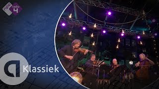 Beethoven Cavatina  Brodsky Quartet  Prinsengrachtconcert 2017 Amsterdam [upl. by Helena]