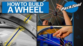 How To Build A Bicycle Wheel [upl. by Brnaba]