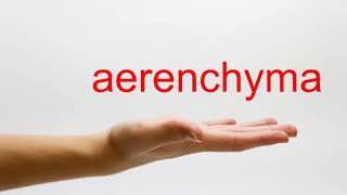 How to Pronounce aerenchyma  American English [upl. by Barthold]