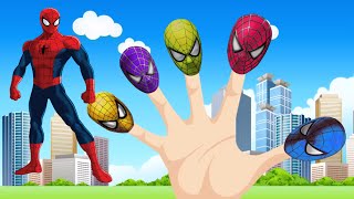 Spiderman Finger Family  Nursery Rhymes Song  Finger Family Spiderman for Kids [upl. by Rodi]