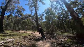 Creswick Sampler  Wood Coupe Trails [upl. by Ydnih224]