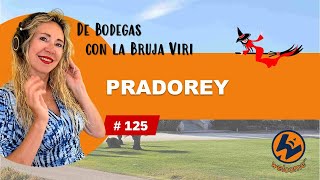 DE BODEGAS CON LA BRUJA VIR 05112024 [upl. by Ecirtel]