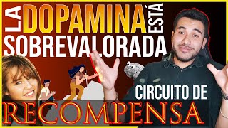 Circuito sistema de PLACER y RECOMPENSA cerebral [upl. by Atlee]