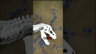 How fossilization is formed shorts 3dnimation [upl. by Keverian]