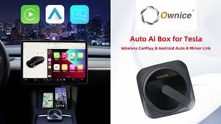 Ownice T3 Auto Ai Box for Tesla [upl. by Xila]