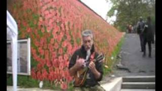 Lest We Forget  STEViE One Bloke One Mandolin [upl. by Itirp]