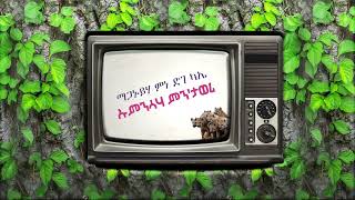 SIDAMU AFOO BEST GOSPEL SONG  BY SINGER FISIHA FSILASE  የዘማሪ ፍስሃ ፍስላሴ ድንቅ ዝማሬ [upl. by Ennagroeg]