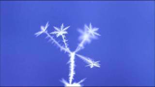 Snowflake Science Timelapse 2 [upl. by Chard680]