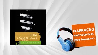 Audiolivro  Dom Casmurro [upl. by Nylednarb14]