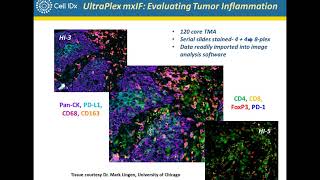 Multiplex Immunofluorescence Profiling of Tumor Biopsies Using UltraPlex mxIF Technology [upl. by Euqimod371]