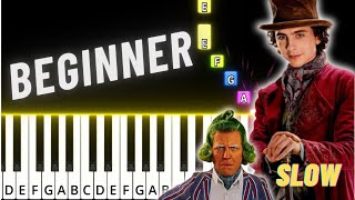 Oompa Loompa  Wonka Movie  BEGGINER Piano Tutorial [upl. by Kirat]