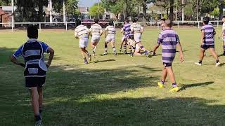 Lawn Tennis vs Uni M13 21124 UNI Jugando [upl. by Ettolrahc]