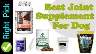 DOG SUPPLEMENT  5 Best Joint Supplement For Dog [upl. by Gereron]