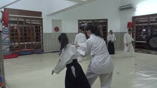 Kihon waza  Aikido  part 2 [upl. by Lennad]