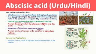 Abscisic Acid in Urdu  Phytohormones [upl. by Leibman]