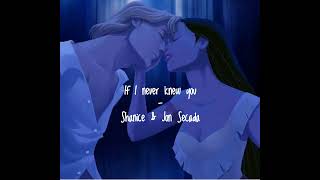 If I never knew you Shanice amp Jon Secada [upl. by Noinatrad]